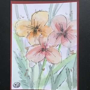 Pink flower