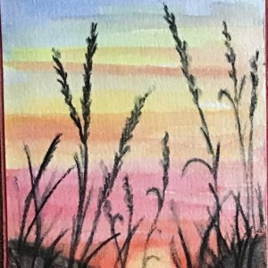 Warm sky