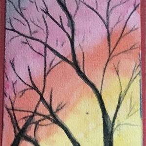 Warm winter trees