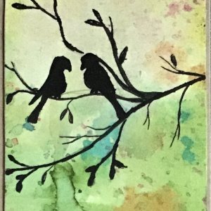 Love birds