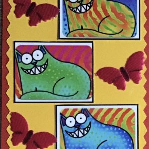 Colorful cats #2