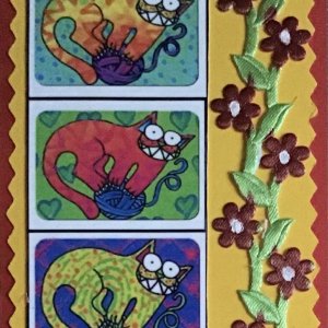 Colorful cats #1