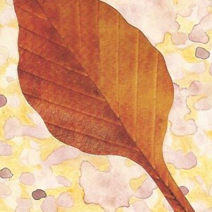 Leaf7