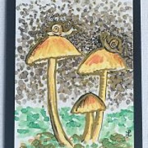 #36: The Final ATART CARD