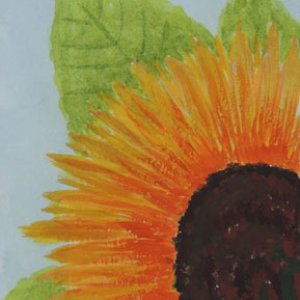 Sunflower 2
