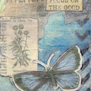 Focus on the Good