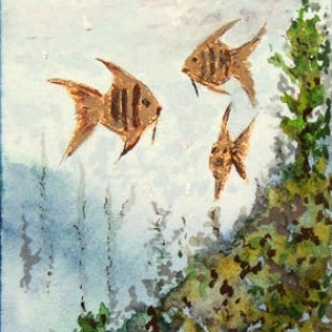 Under The Sea