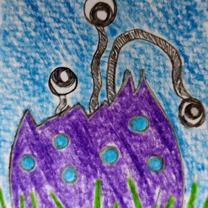 3 Eggs