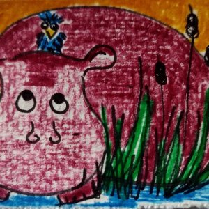 Hippos