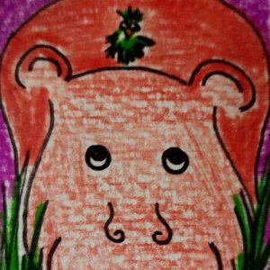 Hippos