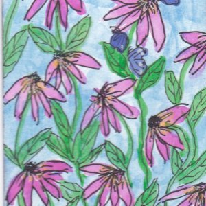 ATART 1 Pink echinacea