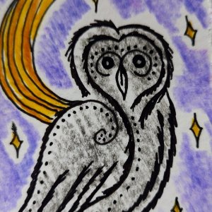 Magical Owls