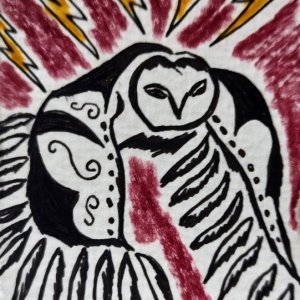 Magical Owls