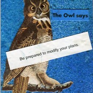 1160 Great Horned Owl