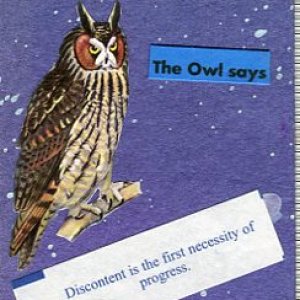 1166 Long Eared Owl
