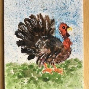 Watercolor Turkey