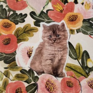 Floral Sweetie Kitten