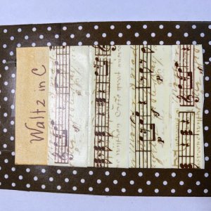 What's with Washi?
