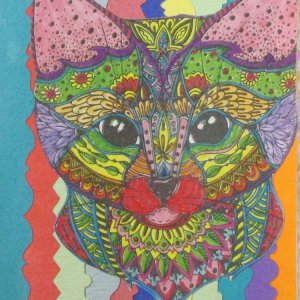 Colorful Cat #2
