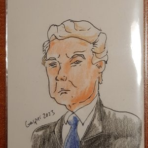 TikTok Live Suggestions - Trumpish