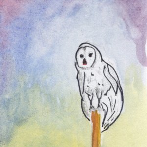 Owl I