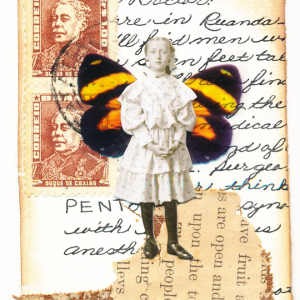 Postcards from the Edge - 13