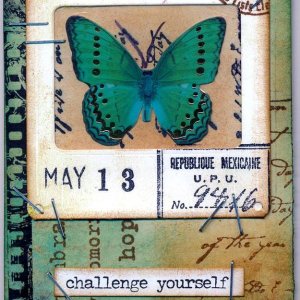 Butterfly Slide - May 13th