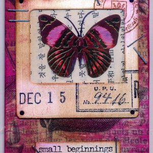 Butterfly Slide - December 15