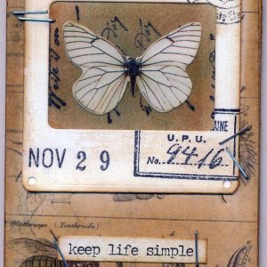 Butterfly Slide - November 29