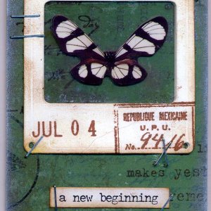 Butterfly Slide - July 4