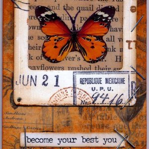 Butterfly Slide - June 21