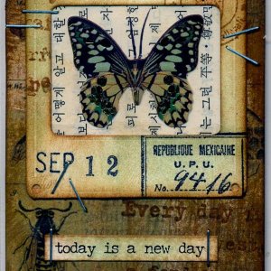 Butterfly Slide - September 12
