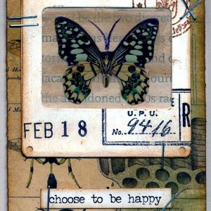 Butterfly Slide - February 18