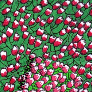PS ATHON 03 Field of tulips