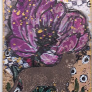 JATART 2 cat in the garden