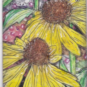 JATART 6 Yellow echinacea