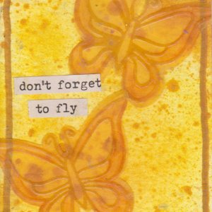 Don't Forget To Fly