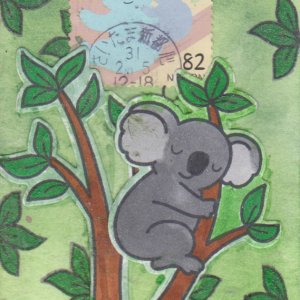Koalas