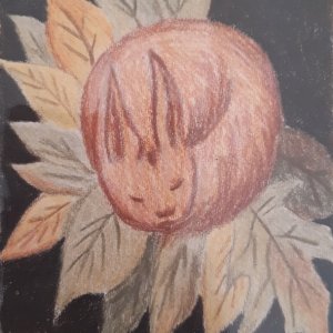 The year of the rabbit: Fall