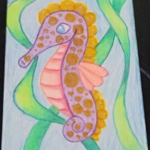 seahorse swap
