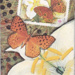 PS ATHON 5 orange butterflies with white lilies