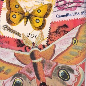 PS ATHON 7 orange butterflies on pink