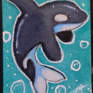 Orca whale