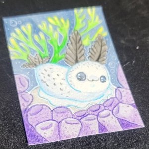 Sea bunny
