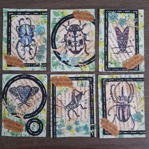 7-Layers Cards