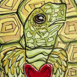 Tortoise Love