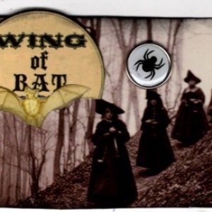 Wing of Bat