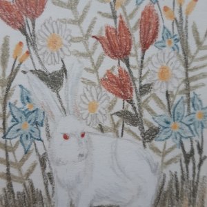 Year of the Rabbit: Spring