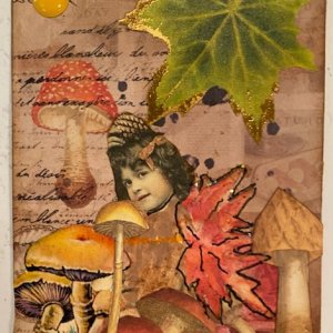 Camouflage Mushrooms