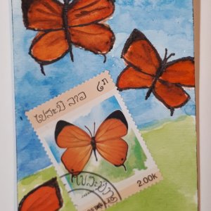 PS ATHON 3 butterflies